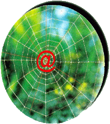 net.gif